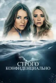 Строго конфиденциально (фильм, 2024)
