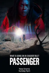 Пассажир (сериал, 1 сезон, 2024)