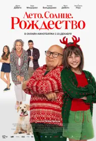 Рождество не по плану (фильм, 2024)